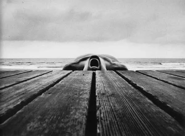 Minkkinen - immagine 2