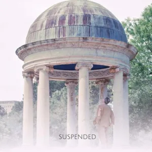 Suspended