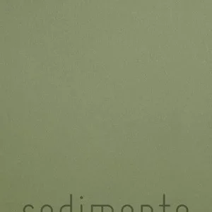 Sedimento