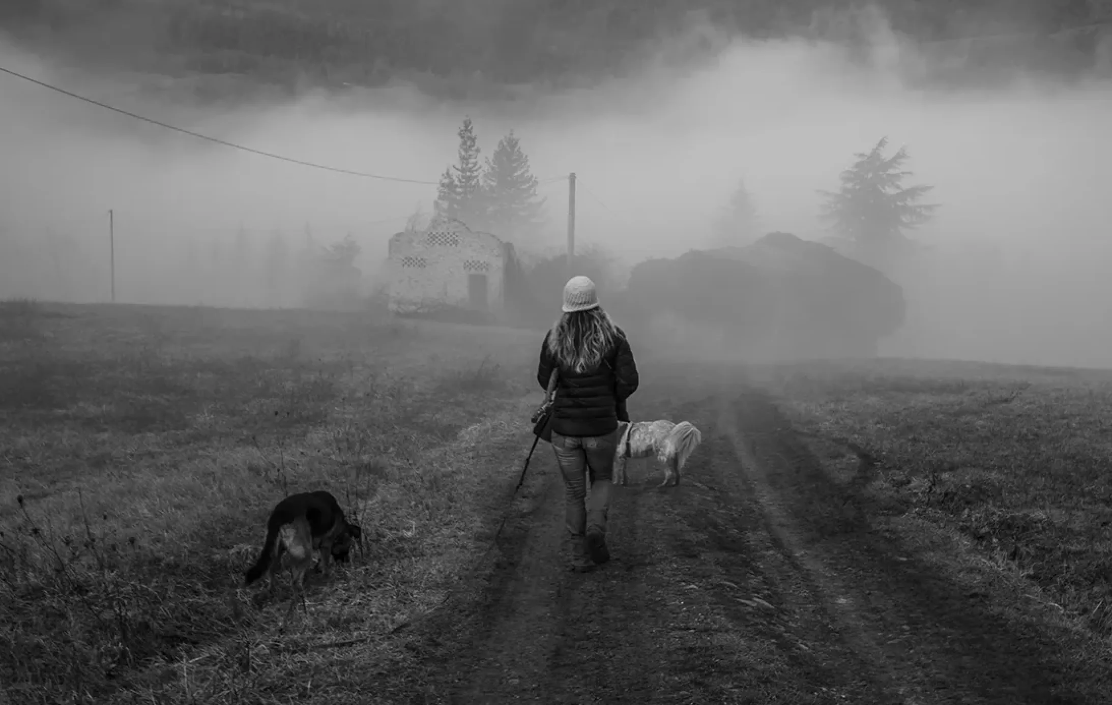 Journey to the Lowlands - immagine 3