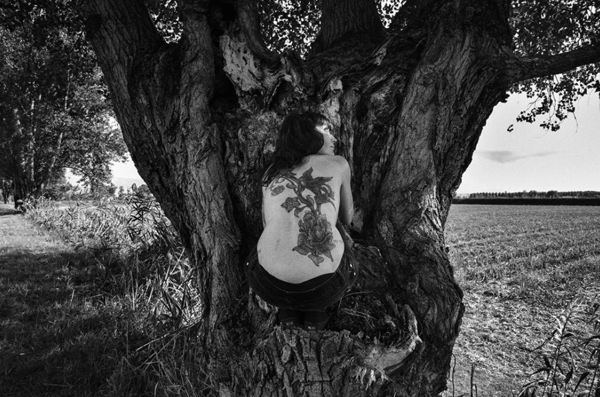 Journey to the Lowlands - immagine 9
