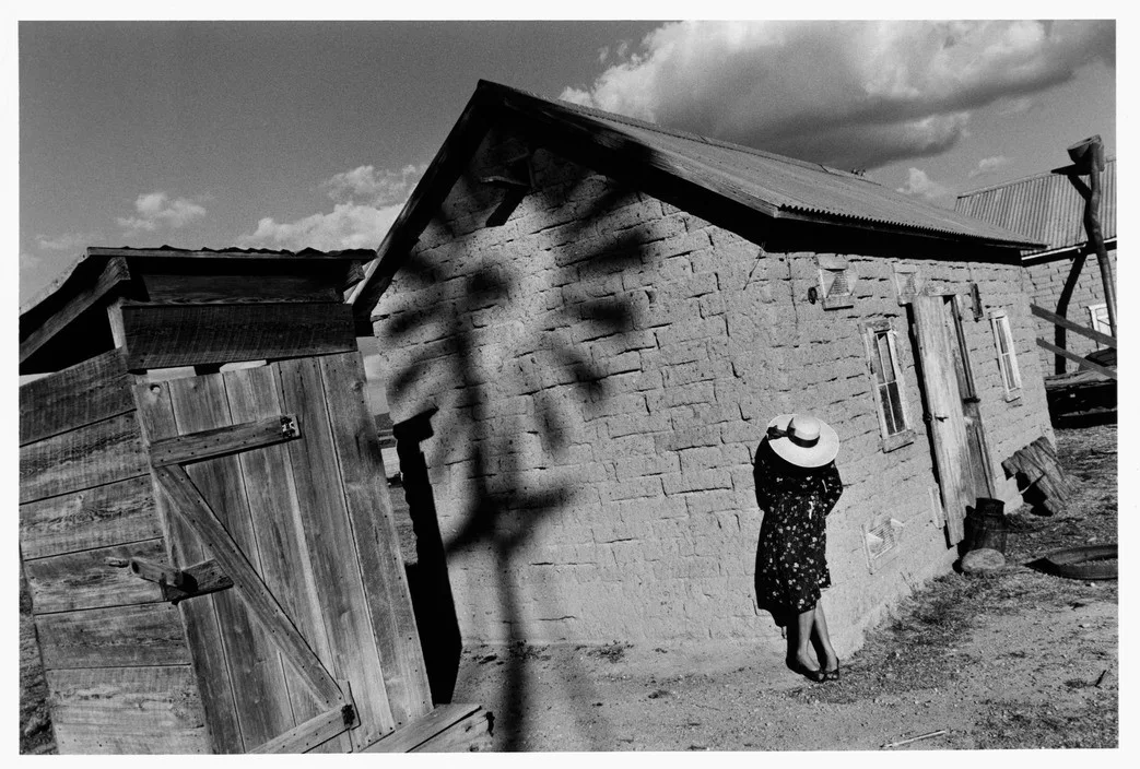 The Mennonites (Signed) - immagine 4