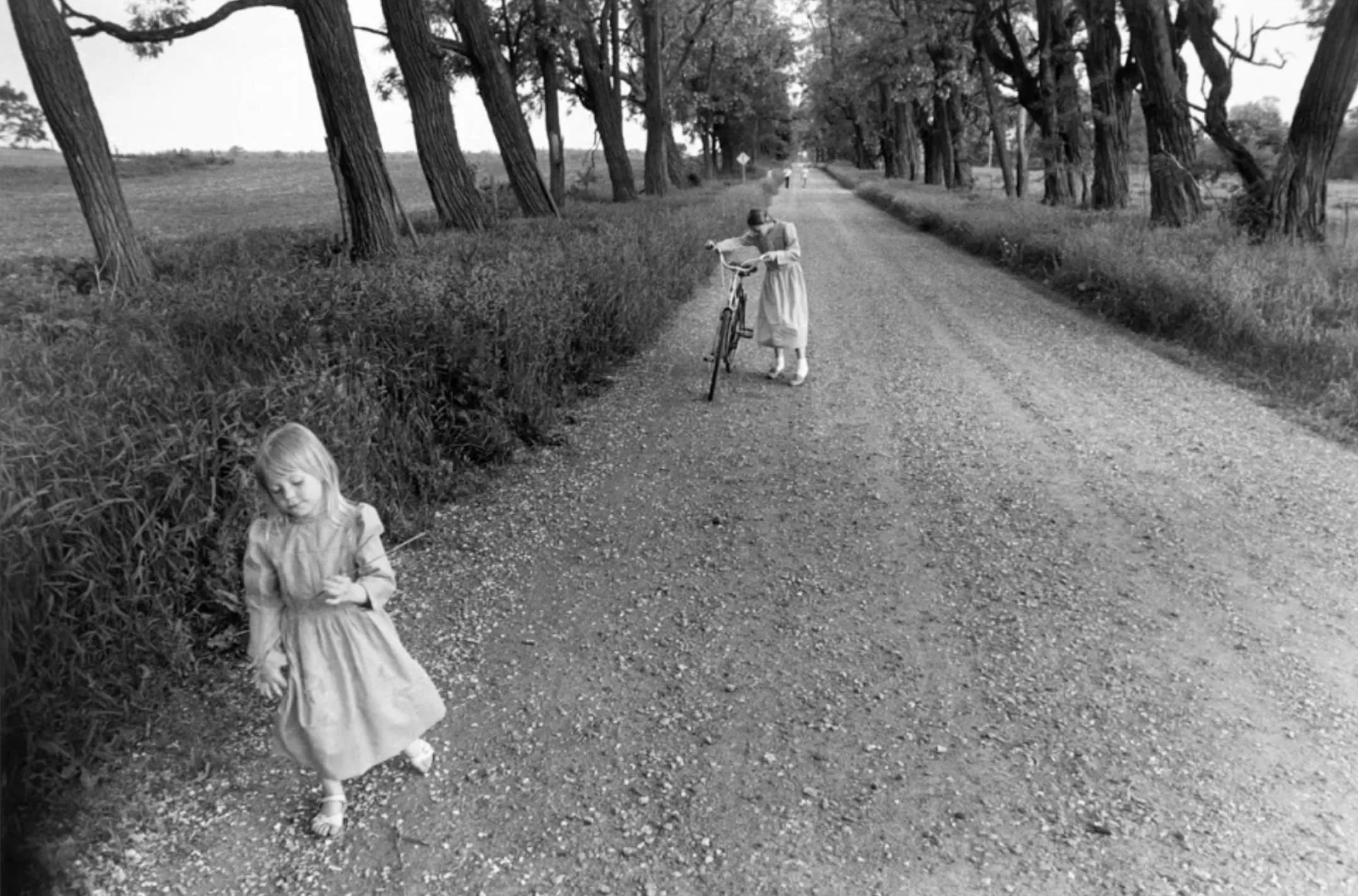 The Mennonites (Signed) - immagine 8