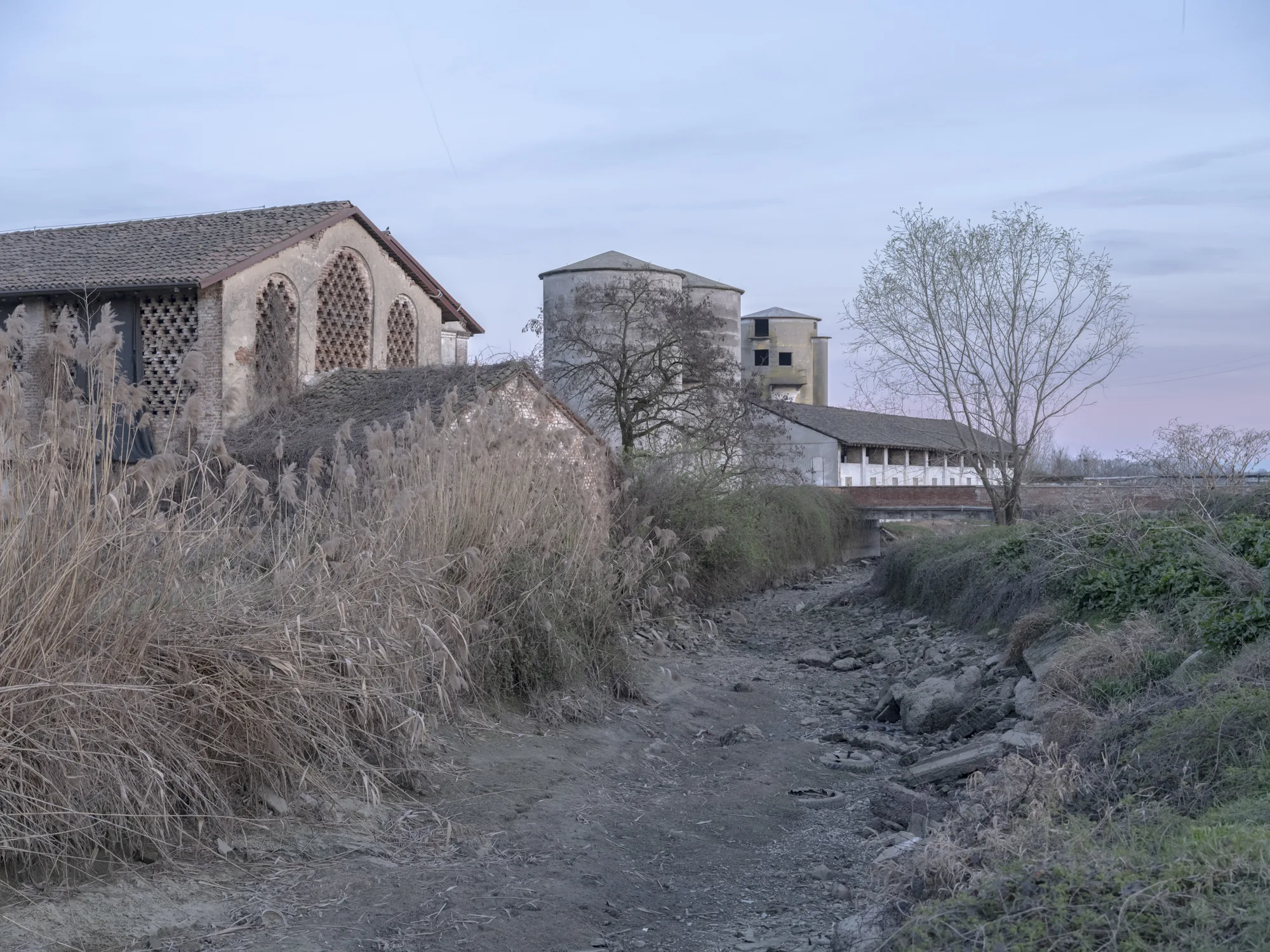 Elegia Lodigiana - immagine 6