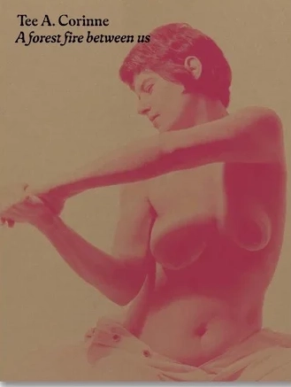 A forest fire between us