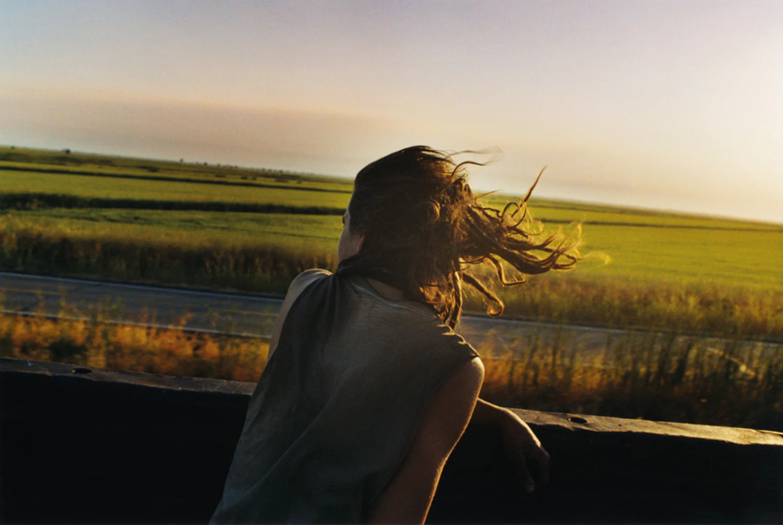 A Period of Juvenile Prosperity - immagine 2