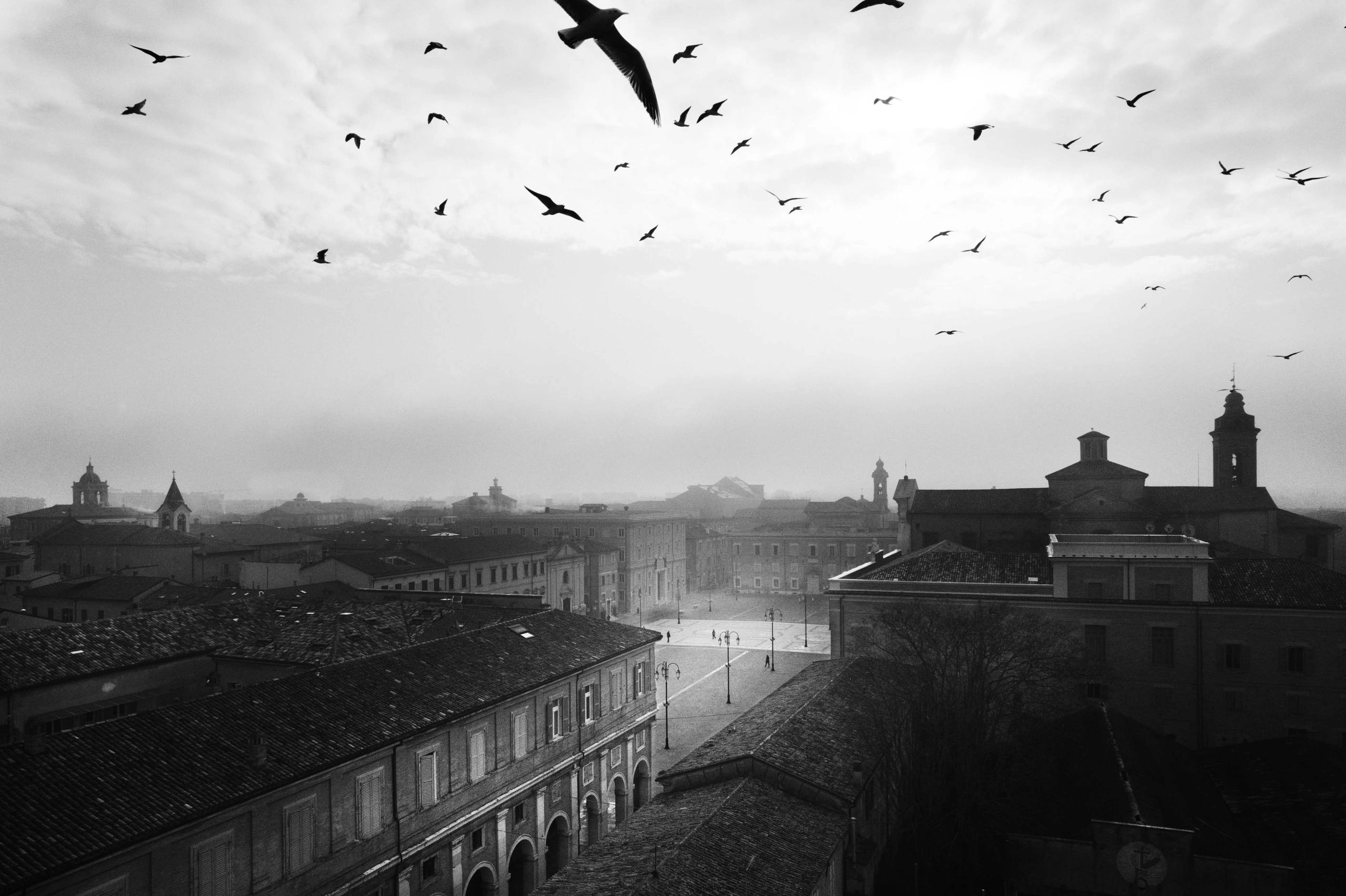 Senigallia. Luce dell’Adriatico - immagine 5