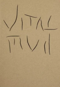 Vital Mud