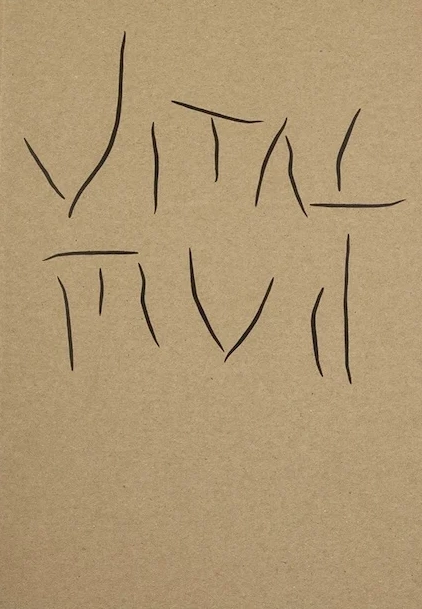 Vital Mud