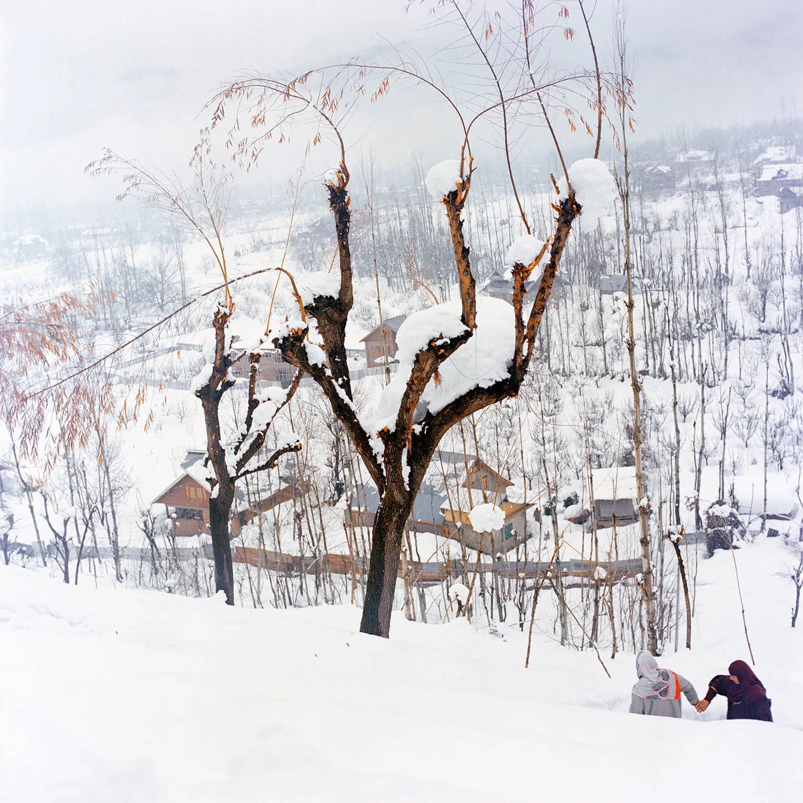 Snow - immagine 4