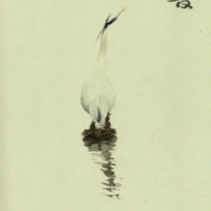 Hibiki